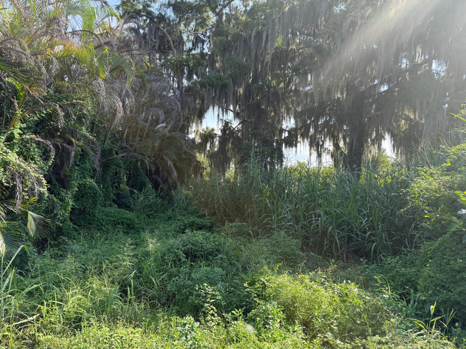 9825 U.S. 441, Okeechobee, FL 34974