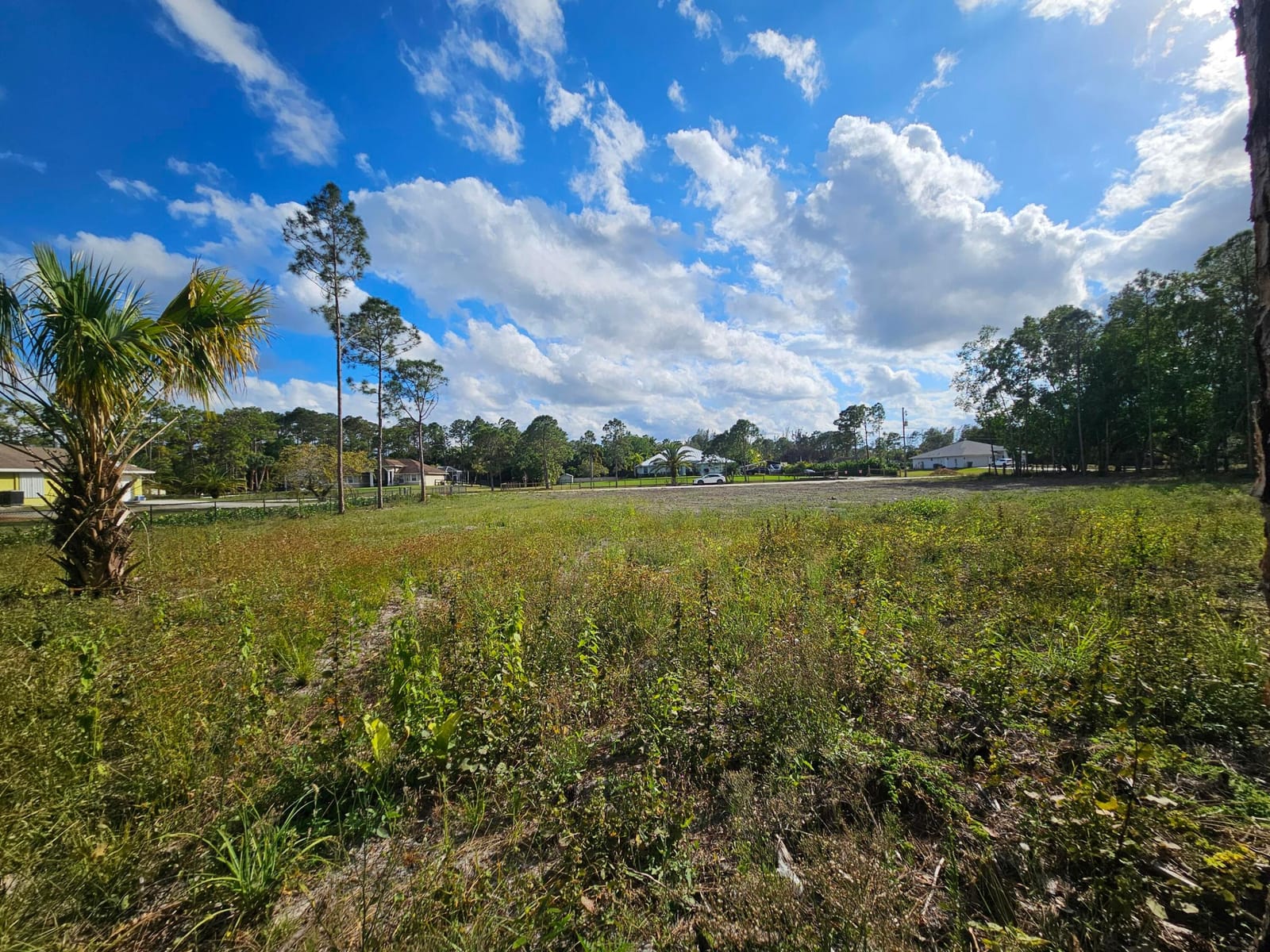 00000 82nd Lane N, The Acreage, FL 33470 photo 18