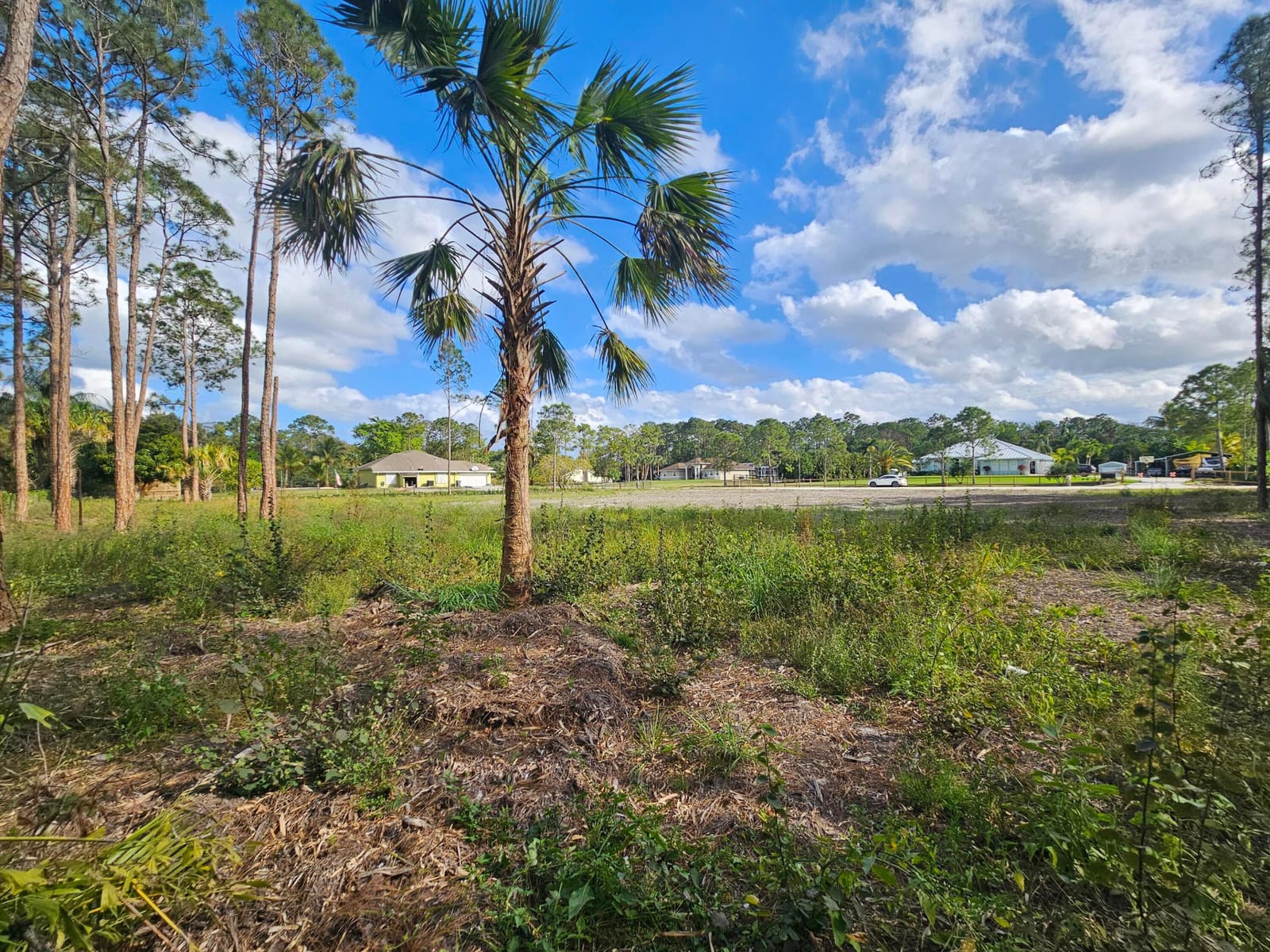 00000 82nd Lane N, The Acreage, FL 33470 photo 25