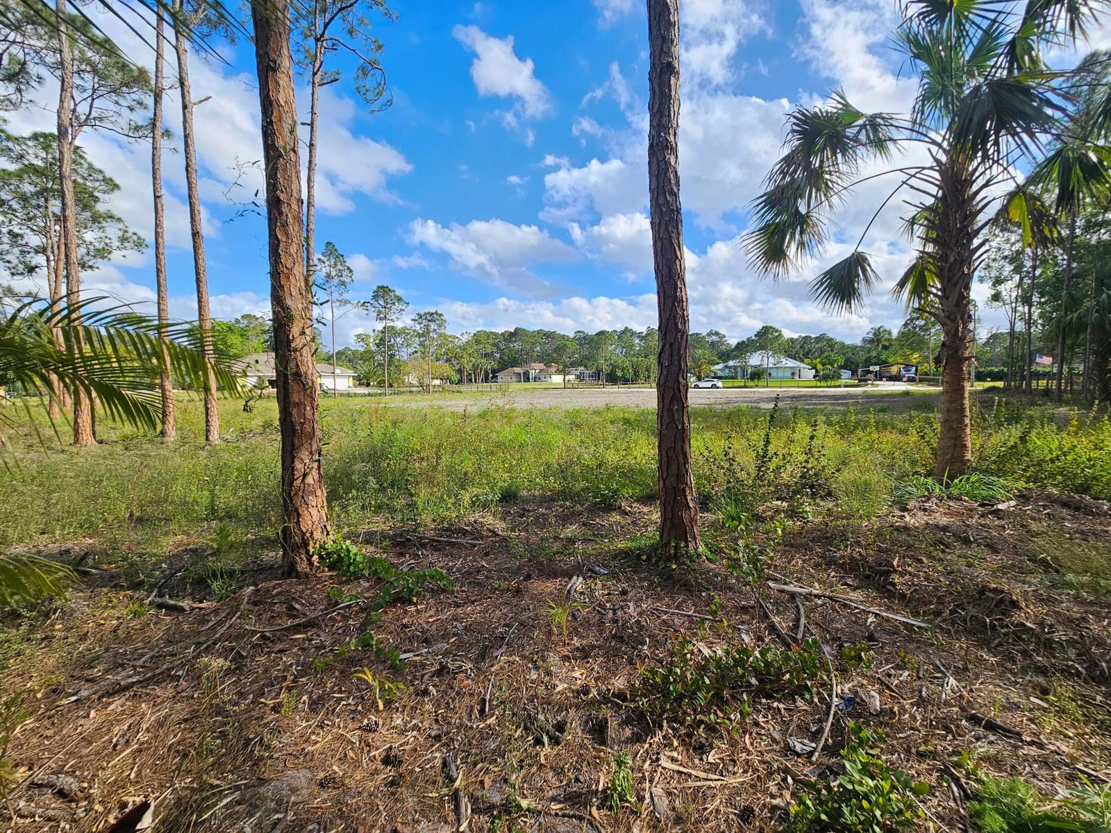 00000 82nd Lane N, The Acreage, FL 33470 photo 26