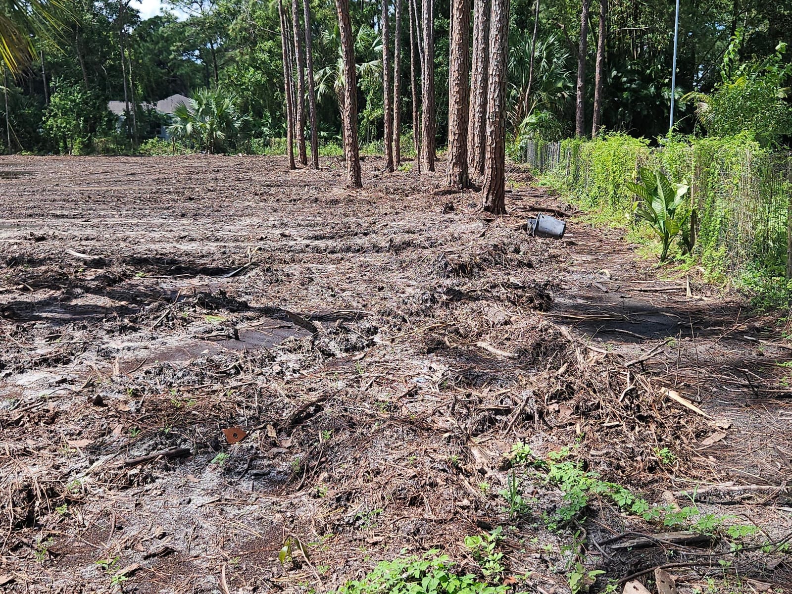 00000 82nd Lane N, The Acreage, FL 33470 photo 29