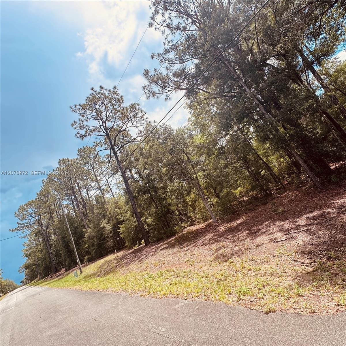 Undetermined SW Undetermined 54 Street, FL 34431