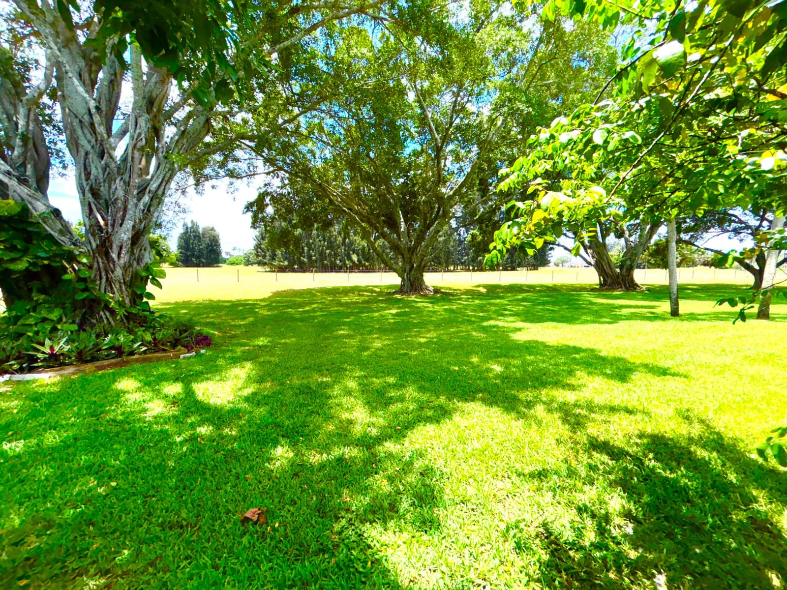 4807 ESEDRA Court, Lake Worth, FL 33467 photo 28