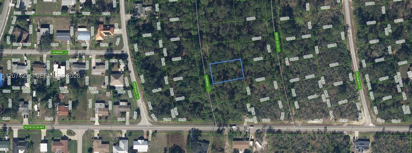 209 Harmony Court, Lake Placid, FL 33852