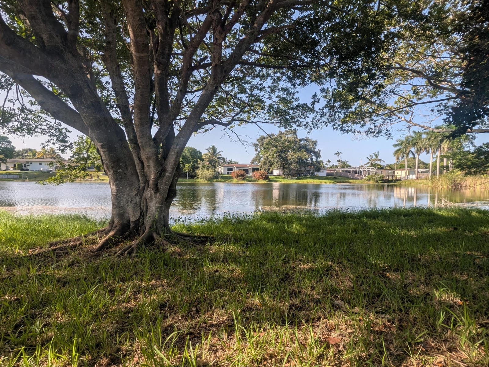 1040 NW 149TH Street, Miami, FL 33168 photo 25