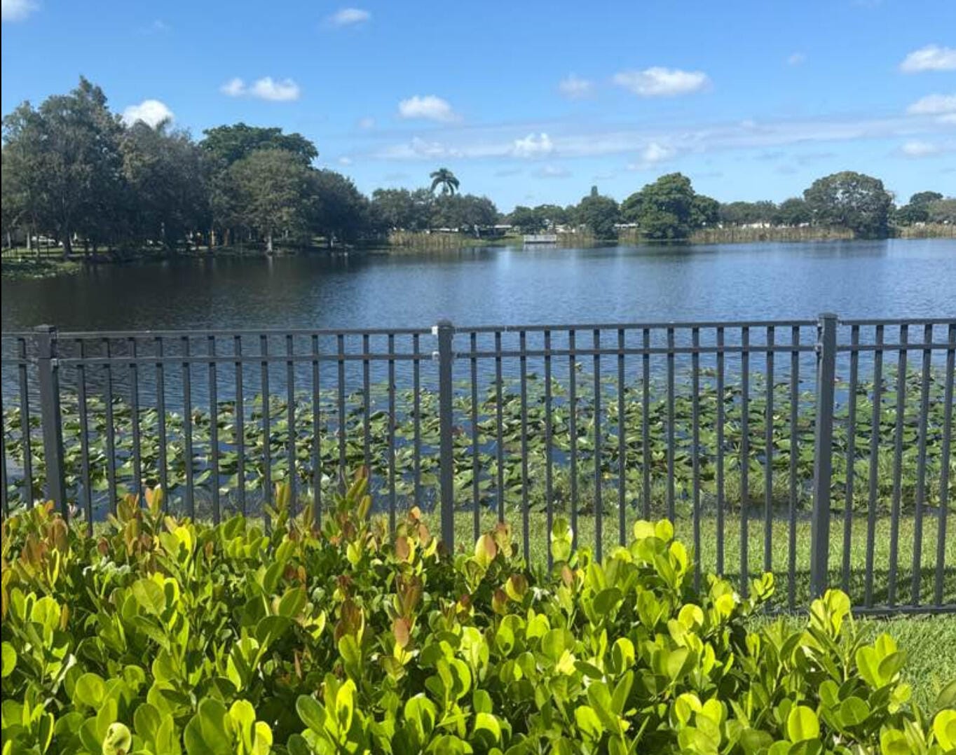 113 ROYAL PARK Drive 1H, Oakland Park, FL 33309 photo 26