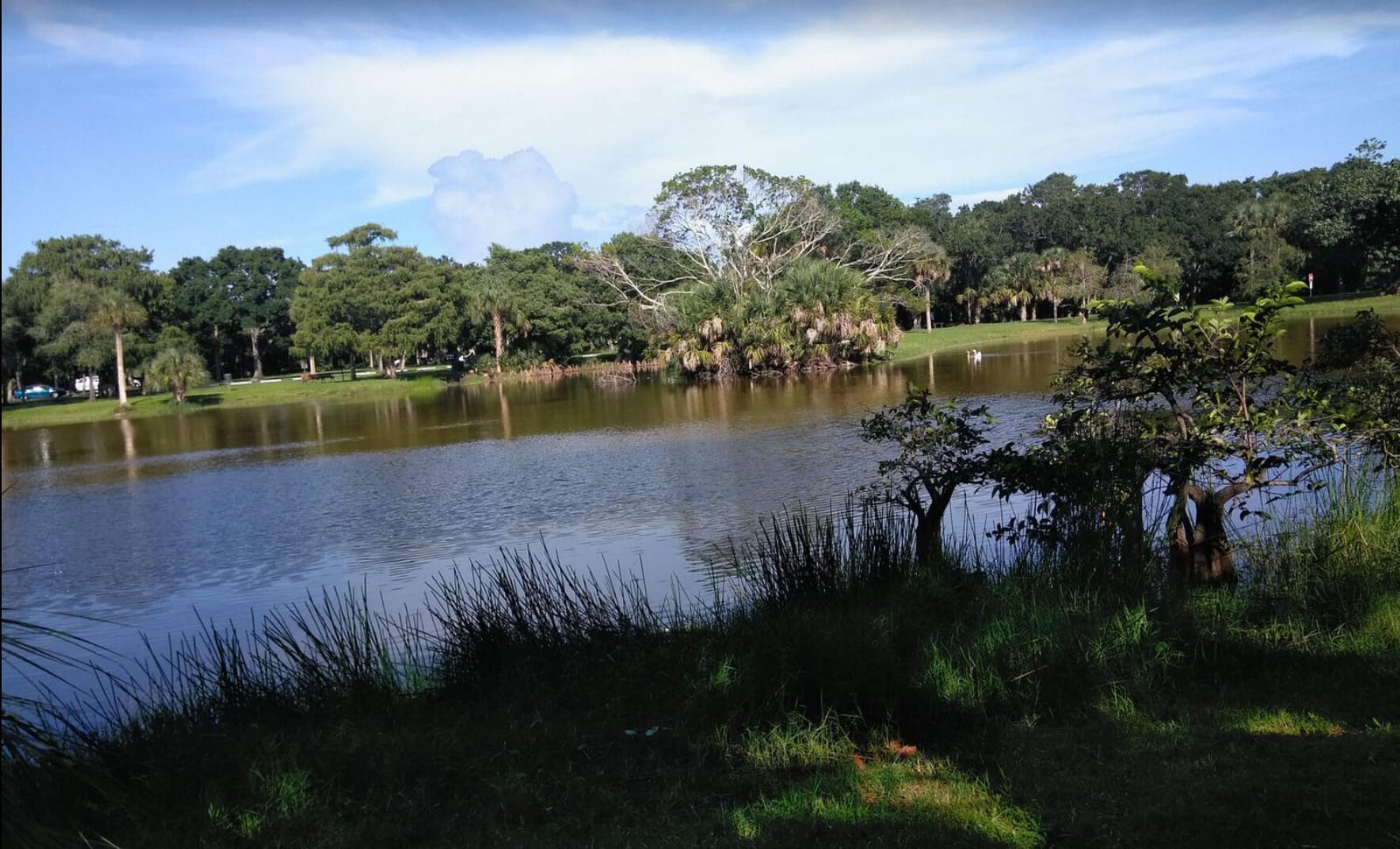 113 ROYAL PARK Drive 1H, Oakland Park, FL 33309 photo 29