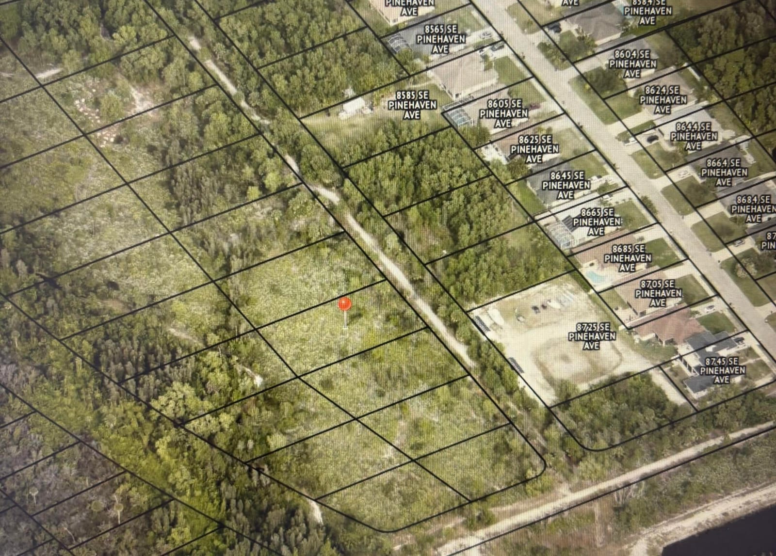 Tbd Poinciana Gardens — photo 4