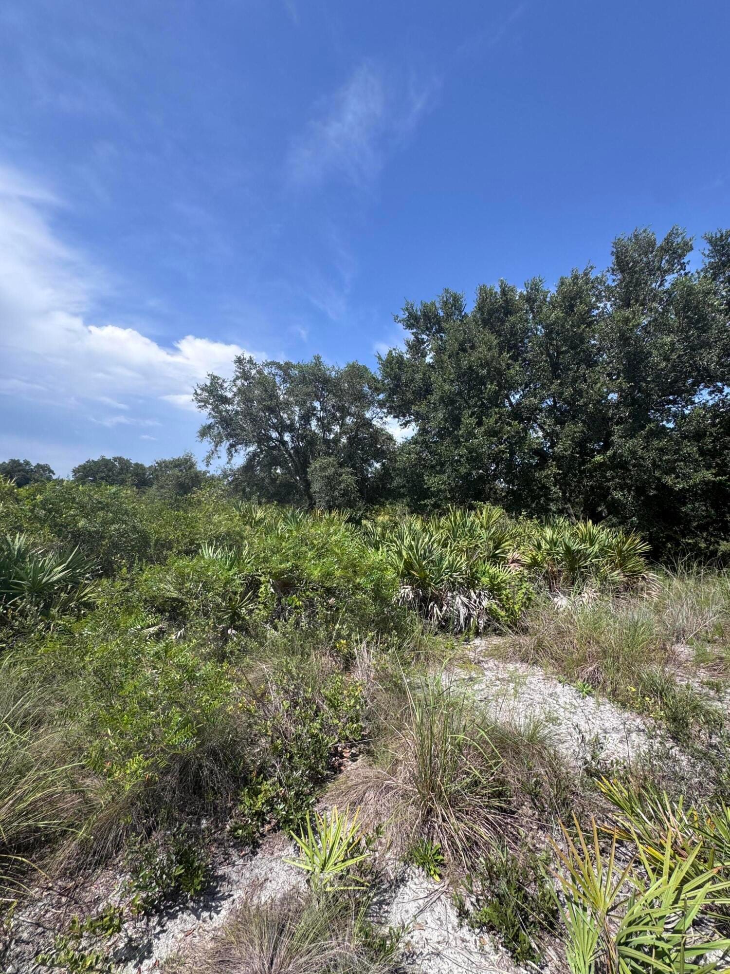 20589 NW 254TH Street, Okeechobee, FL 34972 photo 13