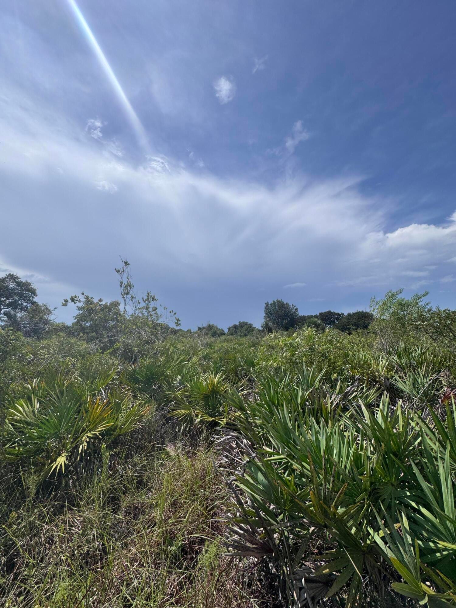 20589 NW 254TH Street, Okeechobee, FL 34972 photo 14