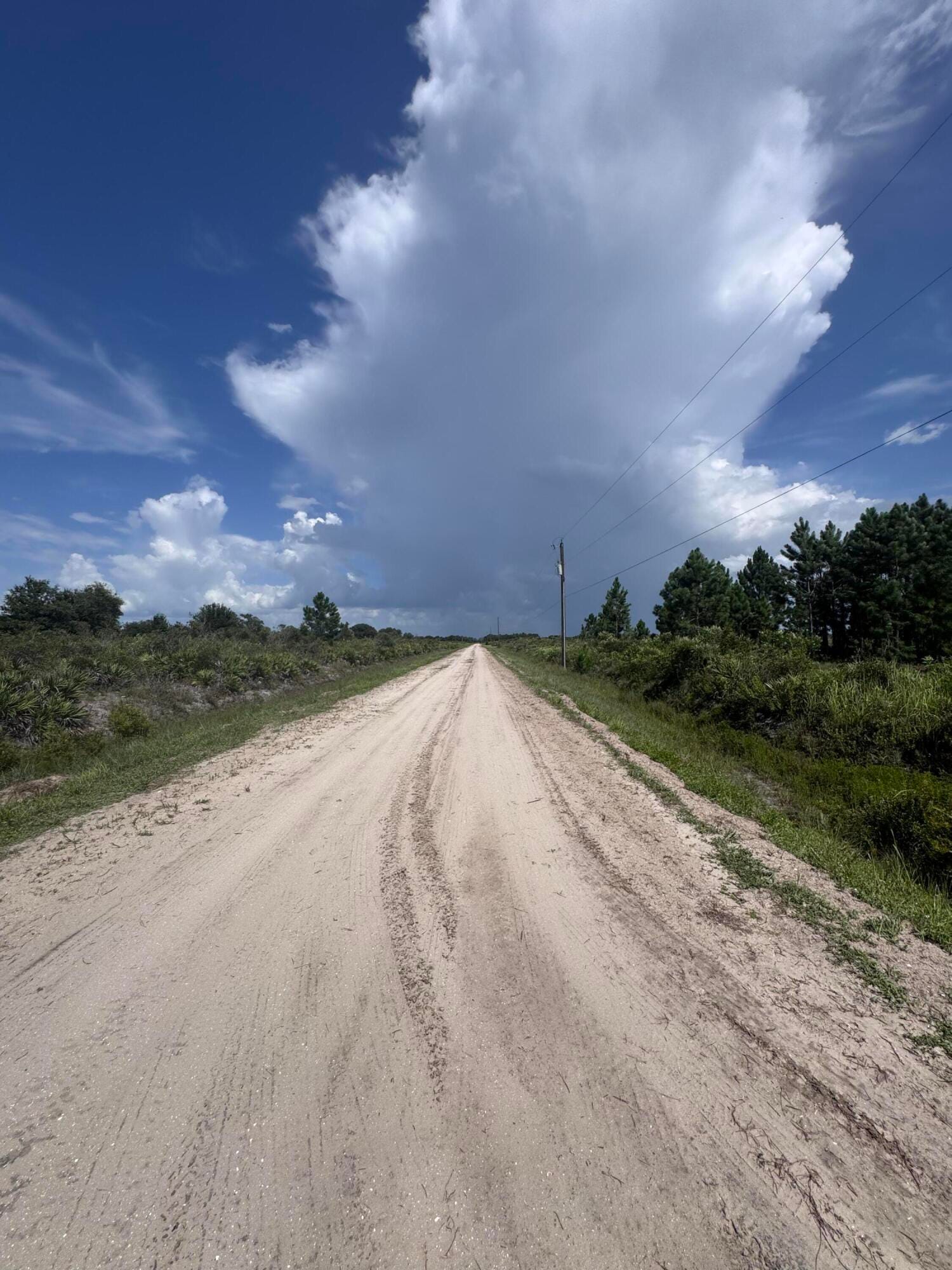 20589 NW 254TH Street, Okeechobee, FL 34972 photo 16