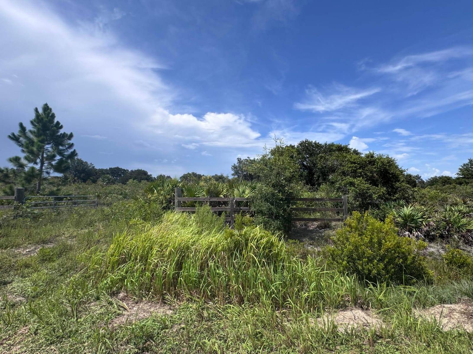 20589 NW 254TH Street, Okeechobee, FL 34972 photo 18
