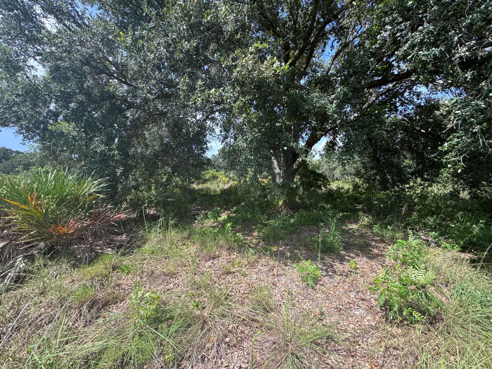 20589 NW 254TH Street — photo 4