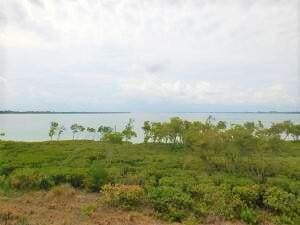 27 HARBOUR ISLE Drive W 305, Fort Pierce, FL 34949
