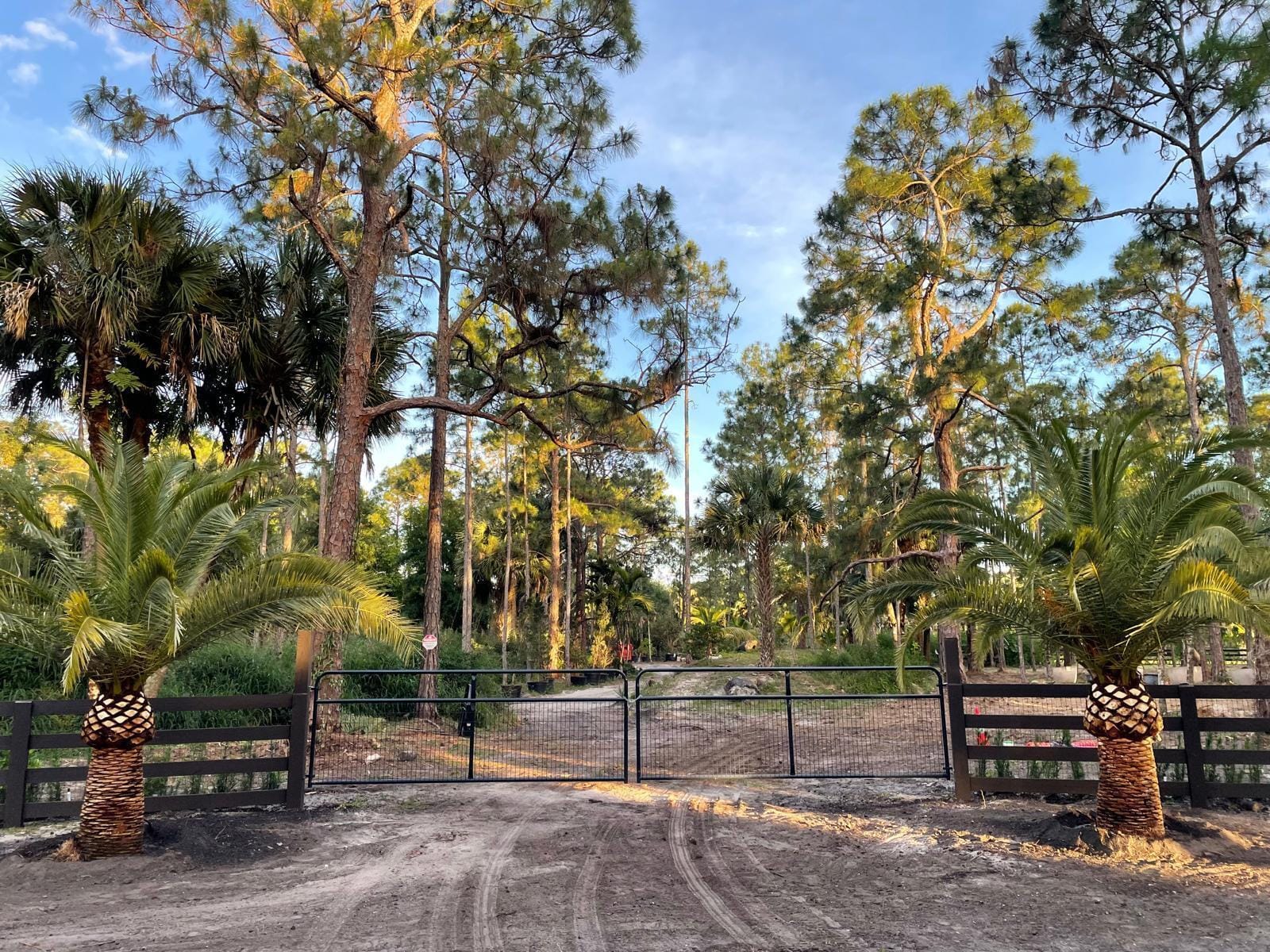 Xxx Stallion Drive W, The Acreage, FL 33470 photo 2