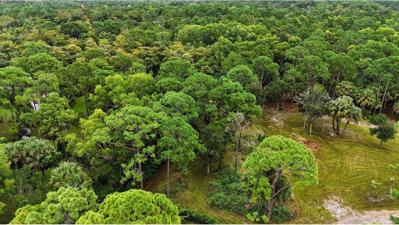 Xxx Stallion Drive W, The Acreage, FL 33470 photo 15