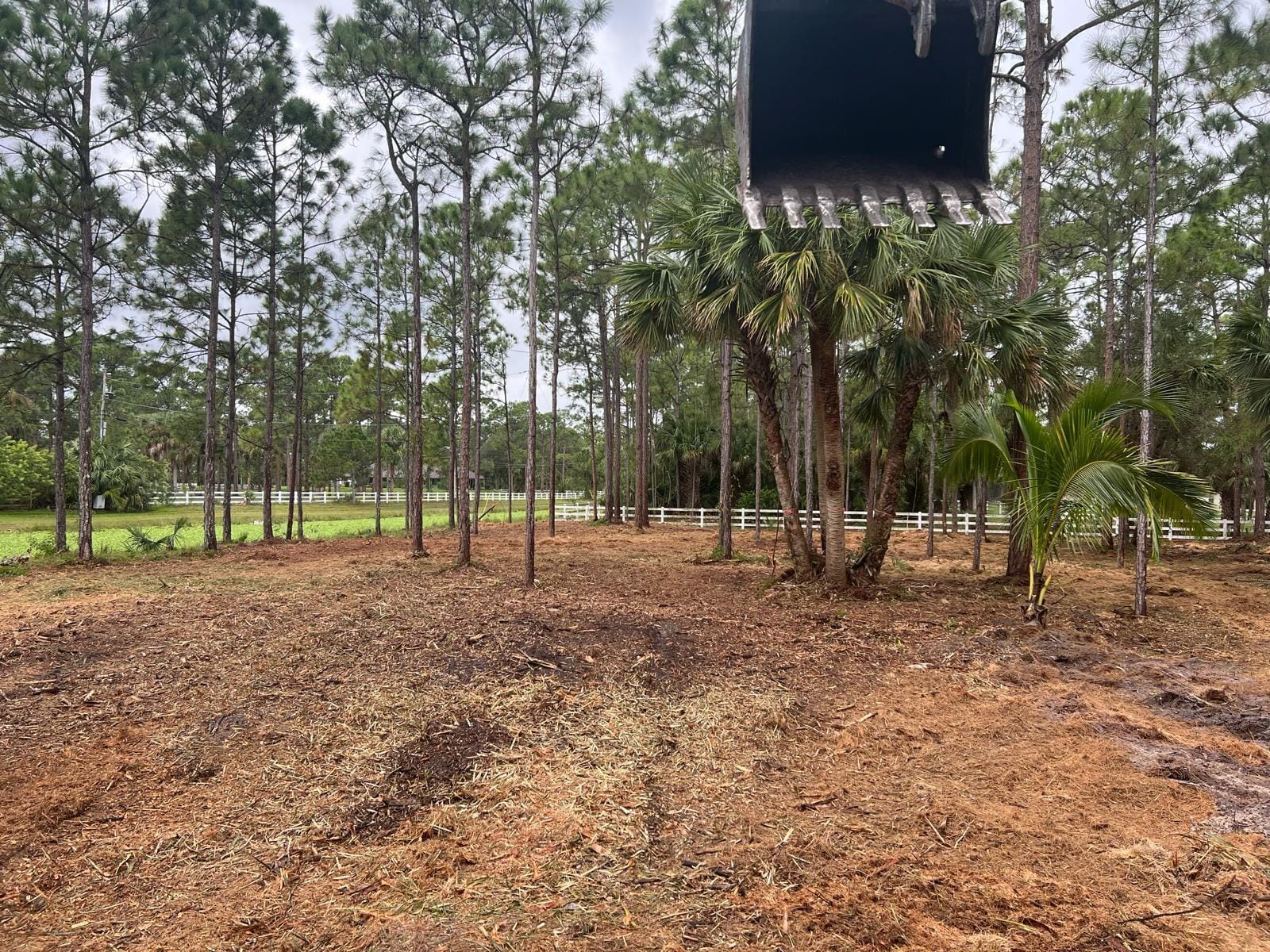 Xxx Stallion Drive W, The Acreage, FL 33470 photo 4