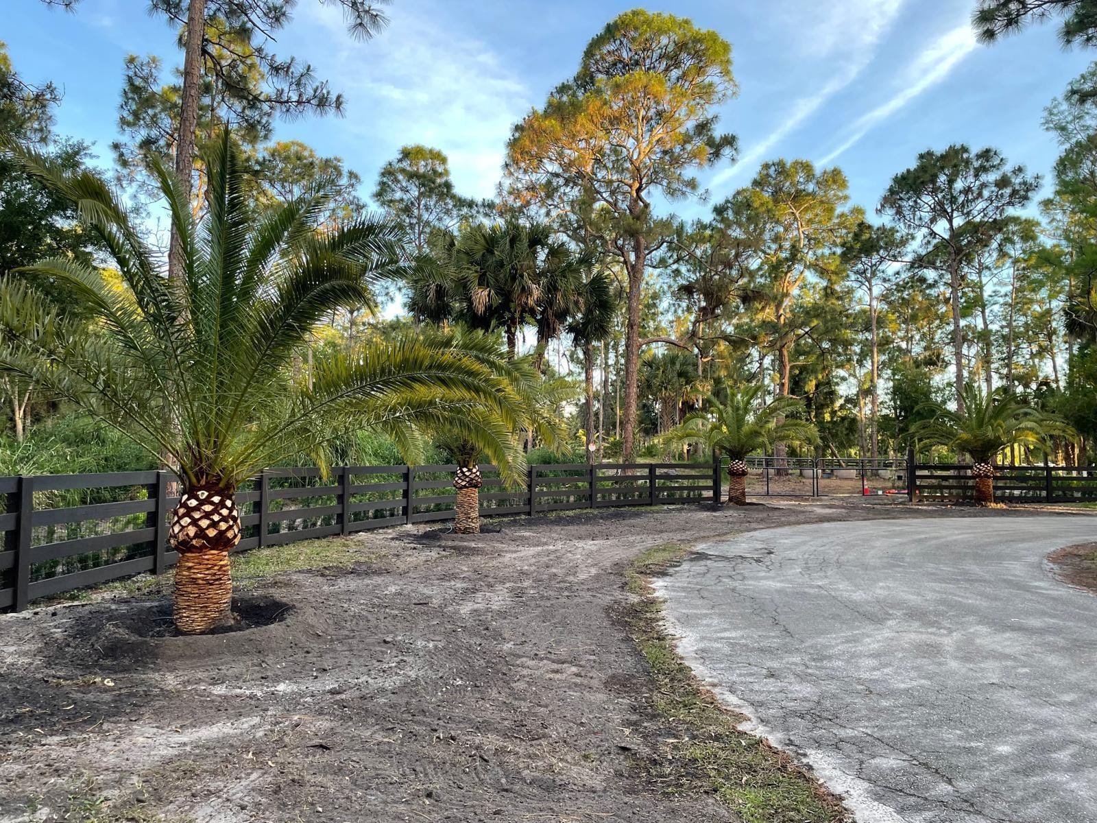 Xxx Stallion Drive W, The Acreage, FL 33470 photo 5