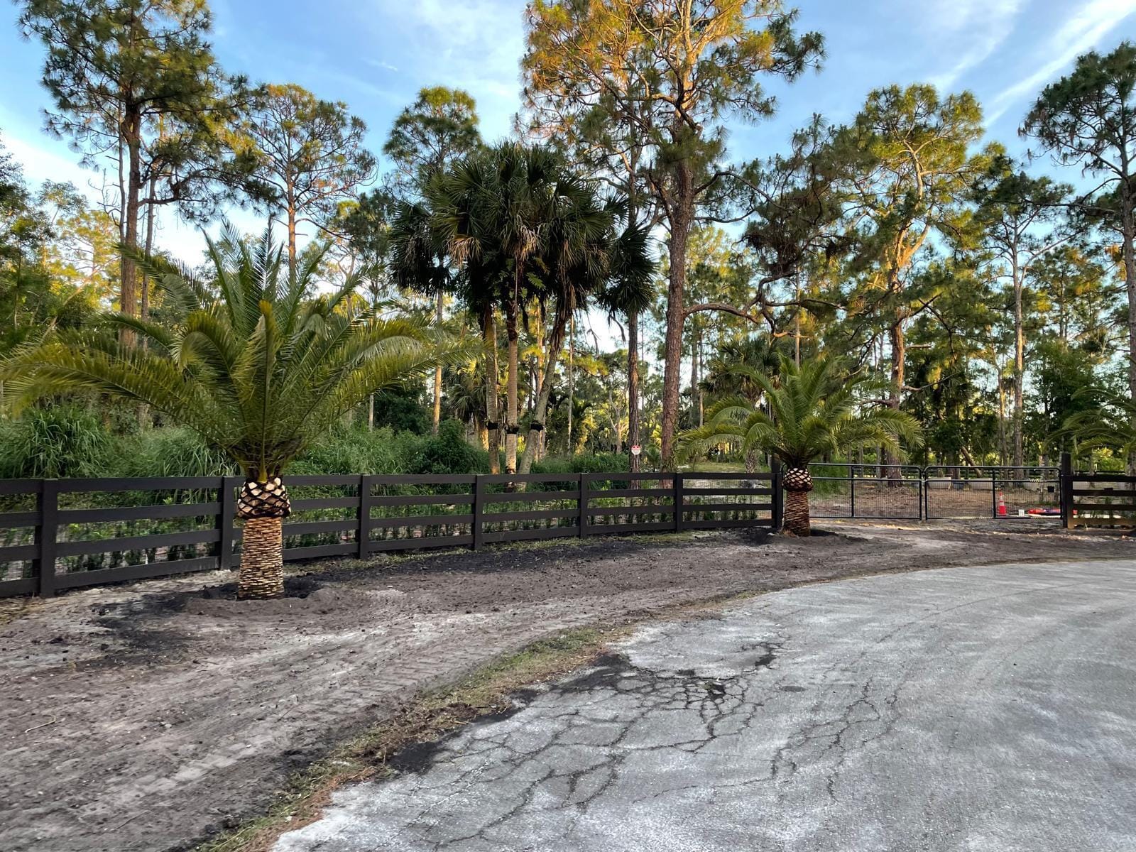 Xxx Stallion Drive W, The Acreage, FL 33470 photo 6