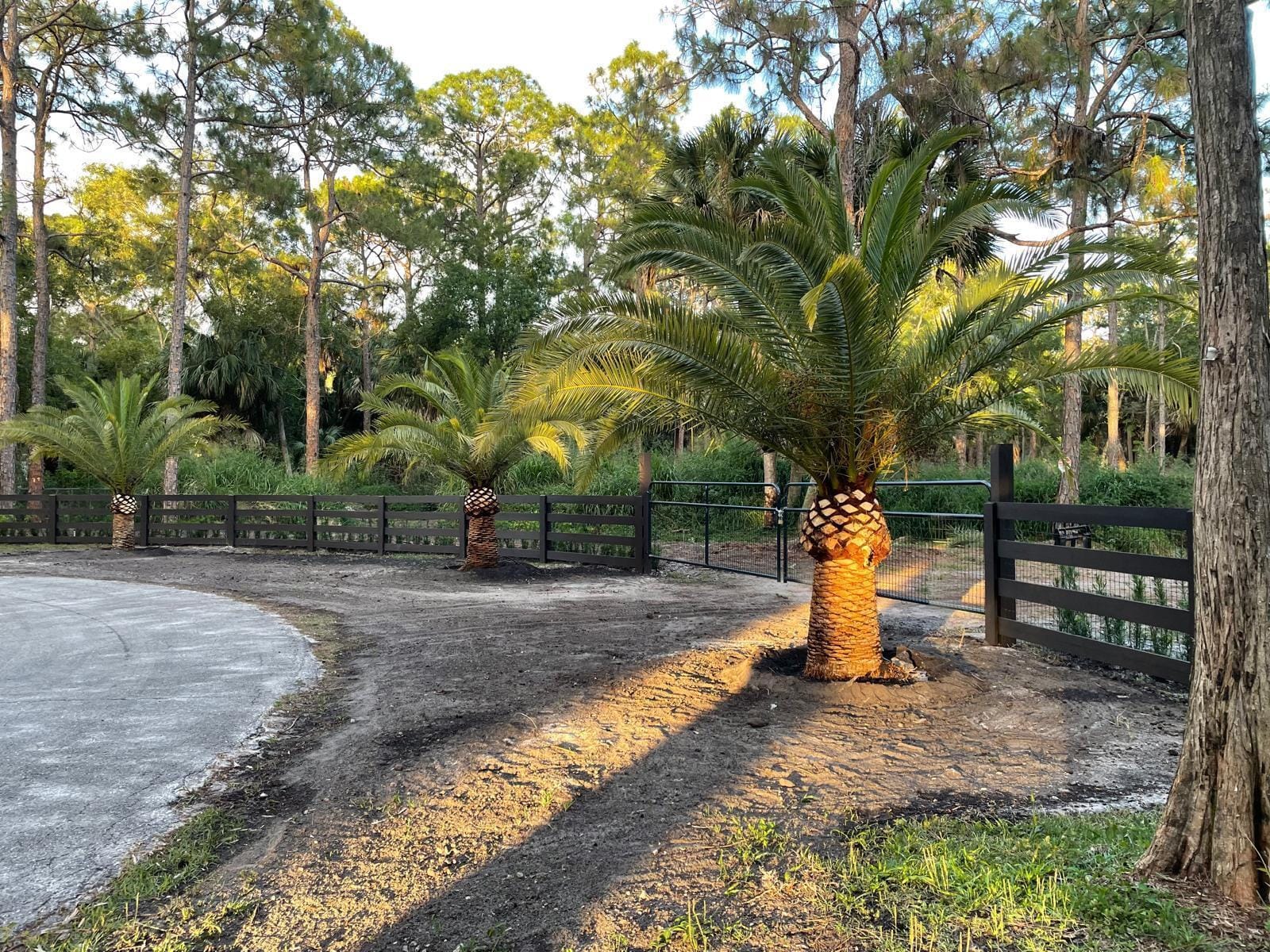 Xxx Stallion Drive W, The Acreage, FL 33470 photo 8