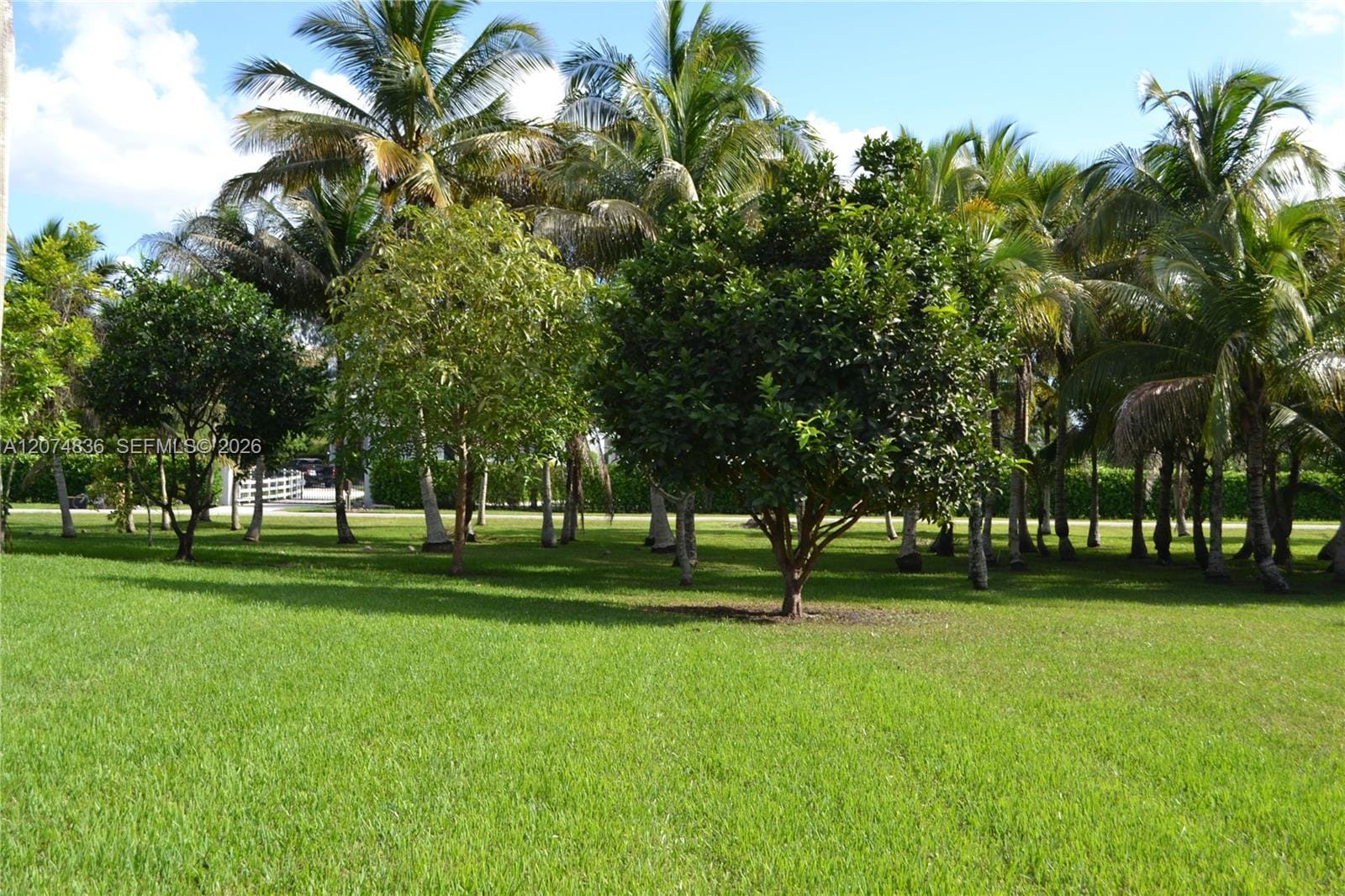 5425 SW 190th Avenue, Southwest Ranches, FL 33332