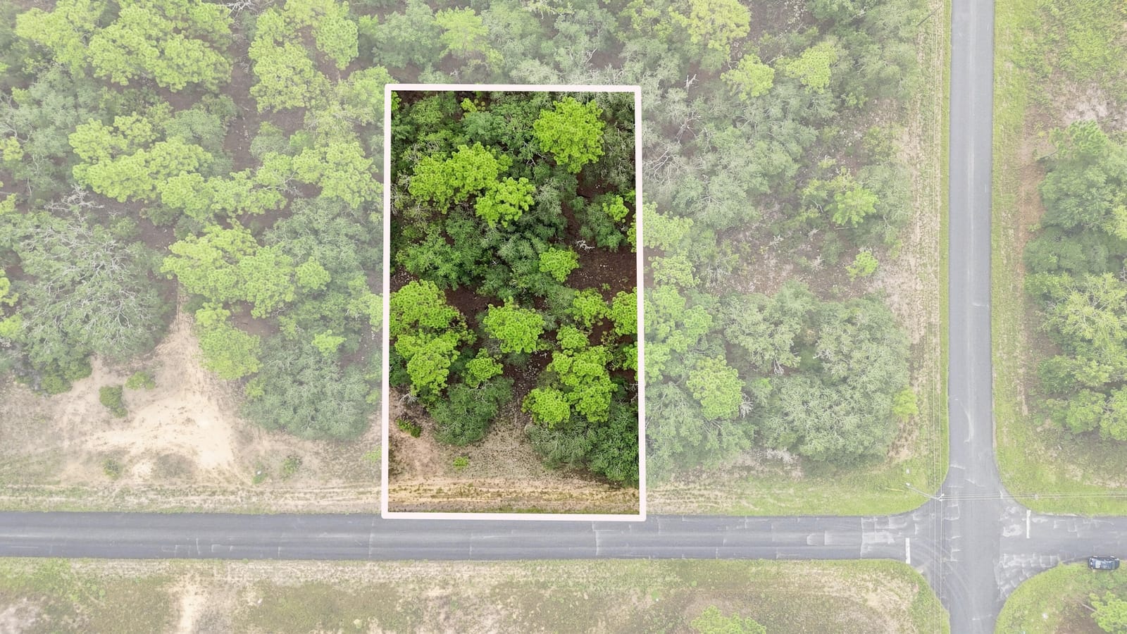 6599 N AIRMONT Drive, Dunnellon, FL 34433 photo 2