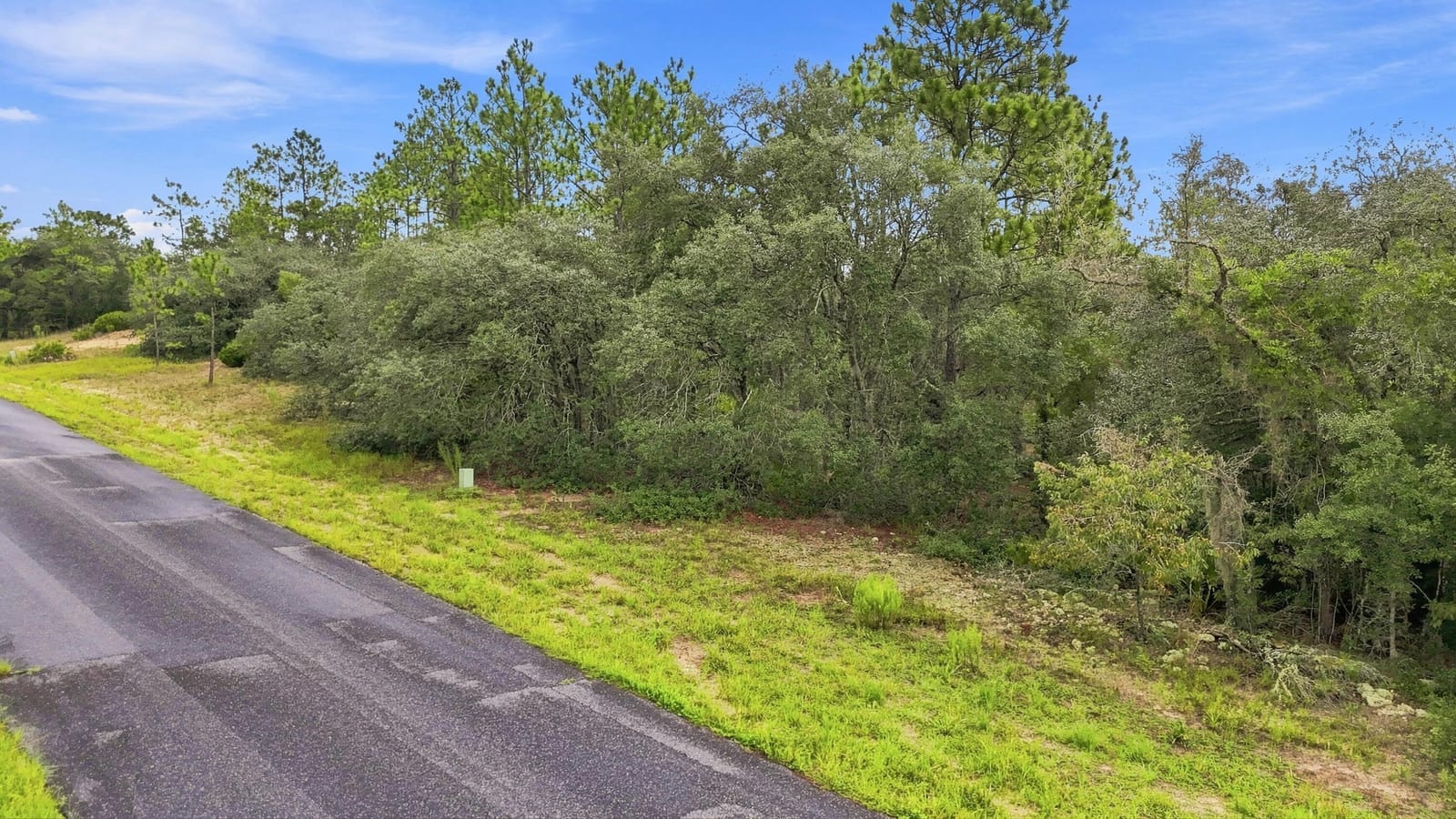 6599 N AIRMONT Drive, Dunnellon, FL 34433 photo 3