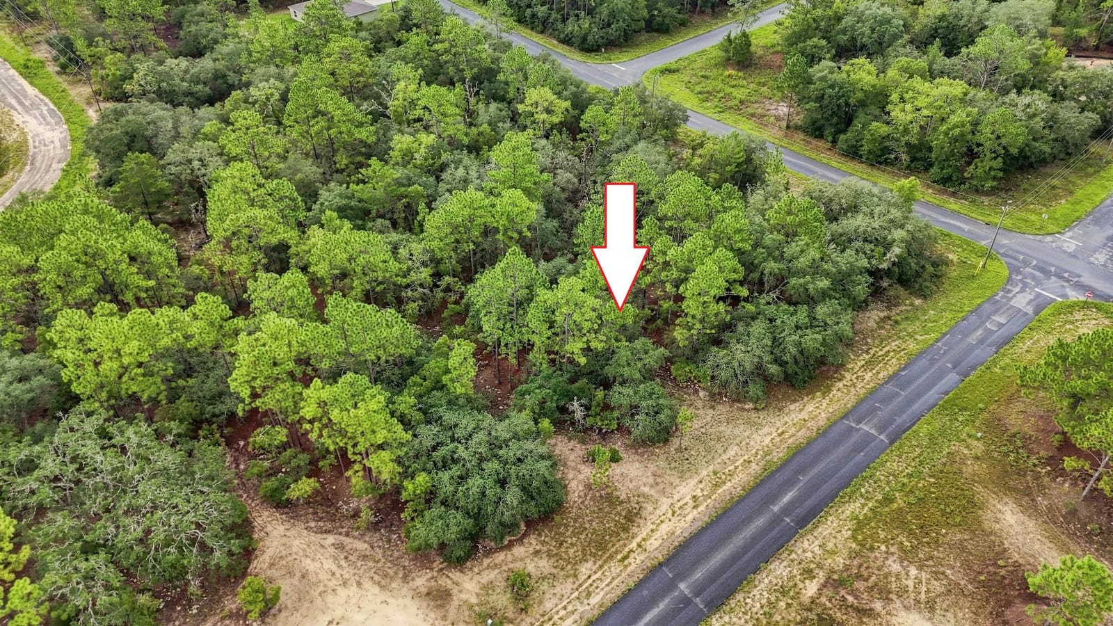 6599 N AIRMONT Drive, Dunnellon, FL 34433