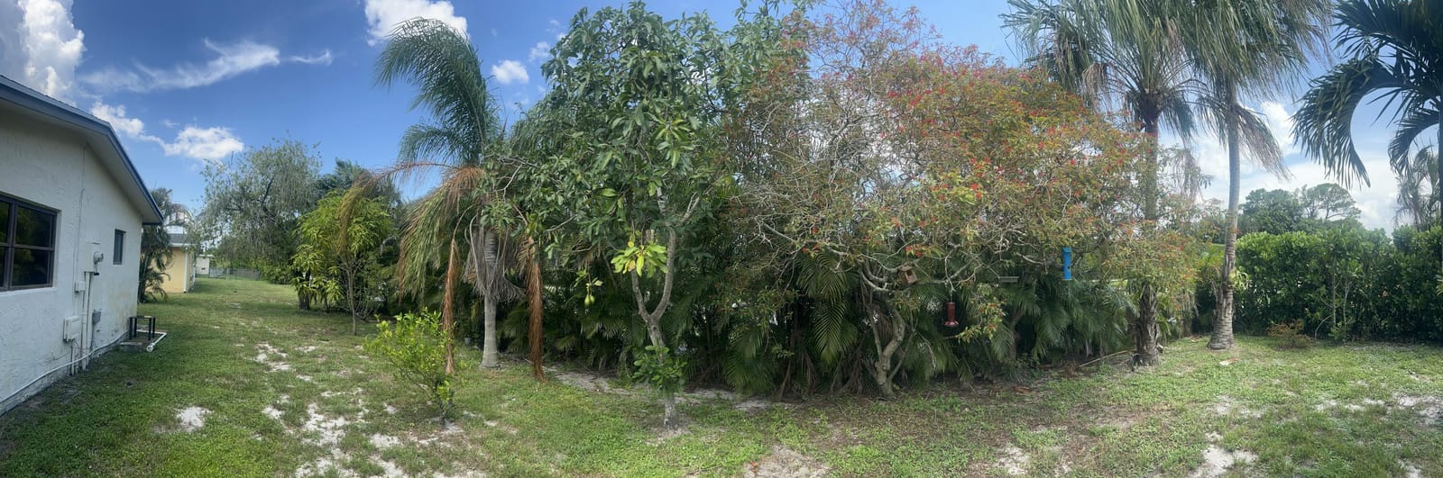 14574 Shadow Wood Lane, Delray Beach, FL 33484 photo 25