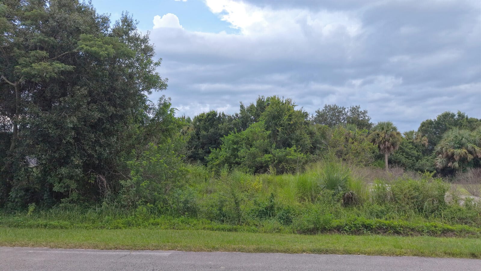 8001 Lockwood Drive — photo 3