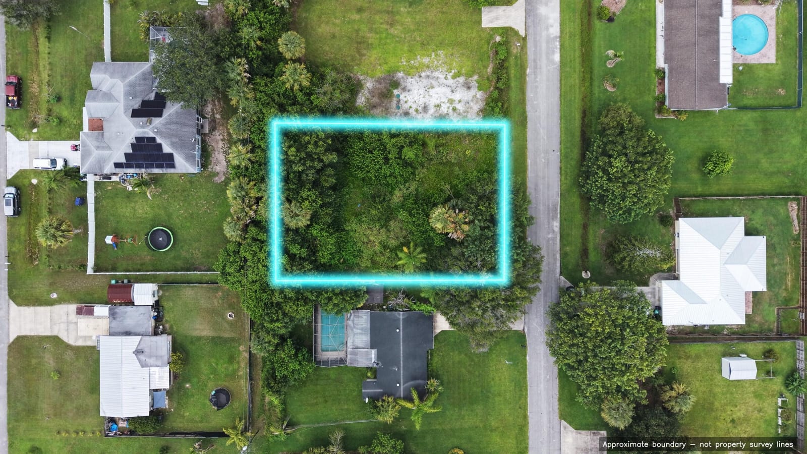8001 Lockwood Drive — photo 6