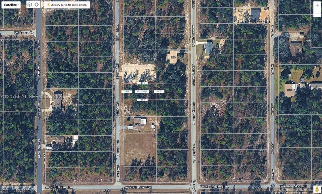 00 SW Pinto Place, Ocala, FL 34431 photo 4