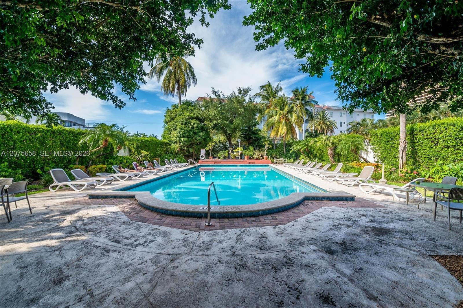 255 W 24th Street 208, Miami Beach, FL 33140 photo 18