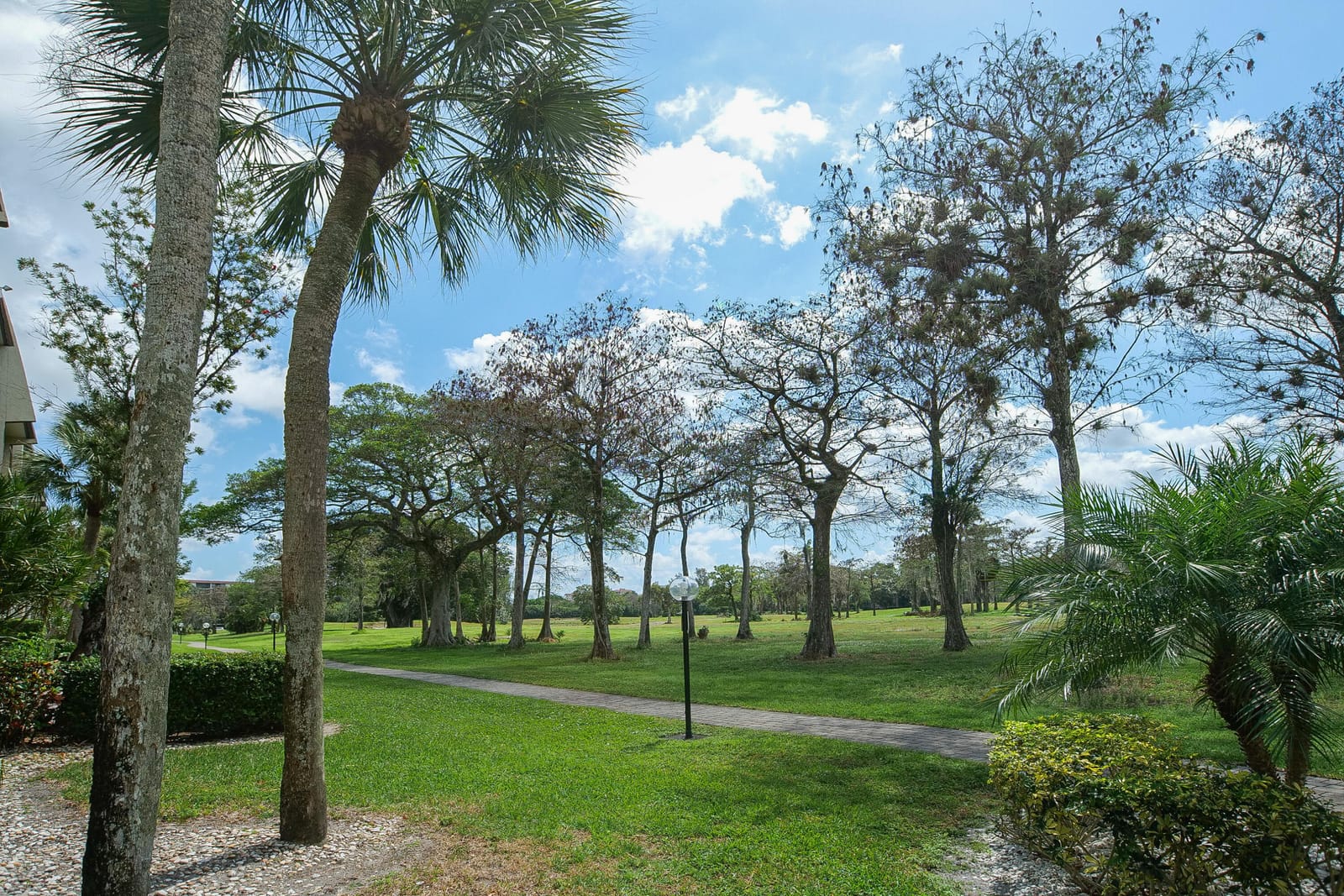6080 NW 44th Street NW Apt 414, Lauderhill, FL 33319