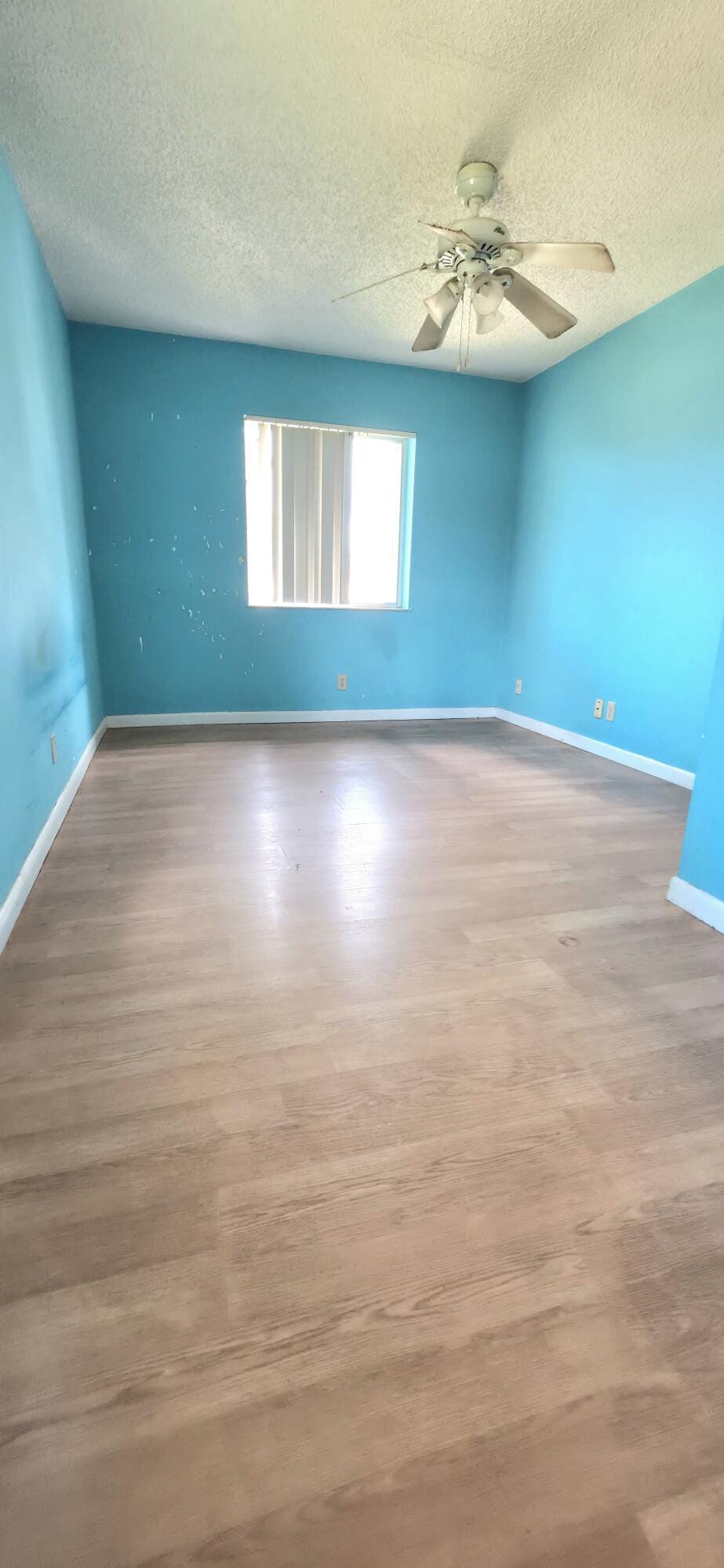 334 Knotty Pine Circle D-2 — photo 6