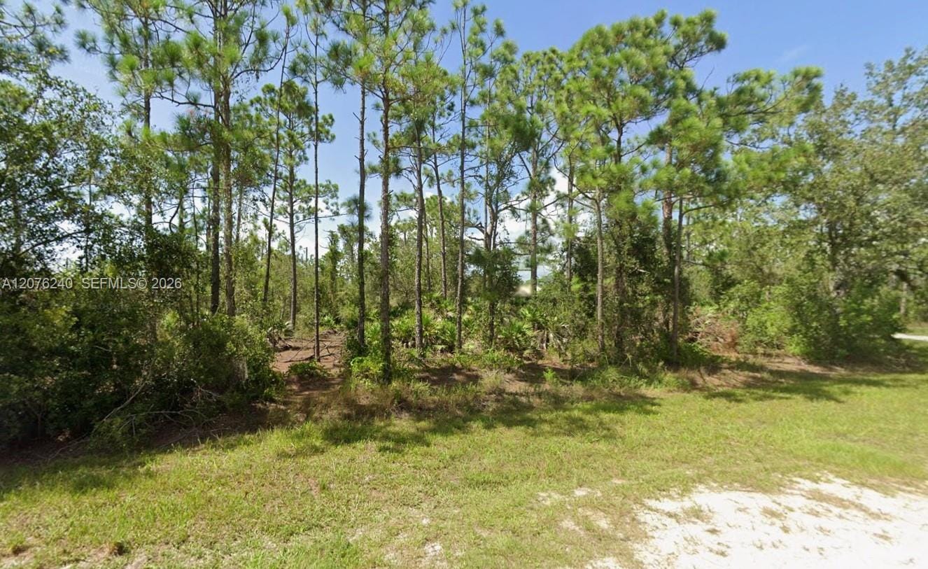 28047 Aloha Drive — photo 5