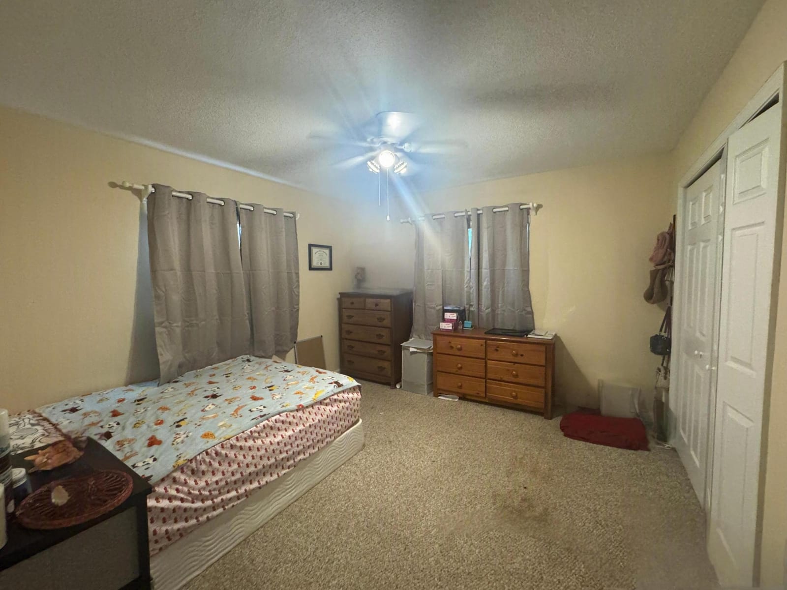 704 E HILLSBORO Boulevard — photo 10