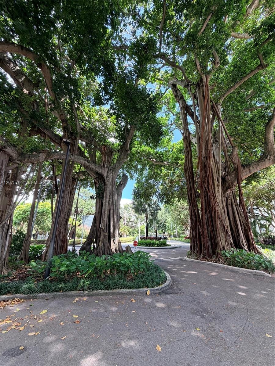 700 NE 63rd Street D201, Miami, FL 33138 photo 10