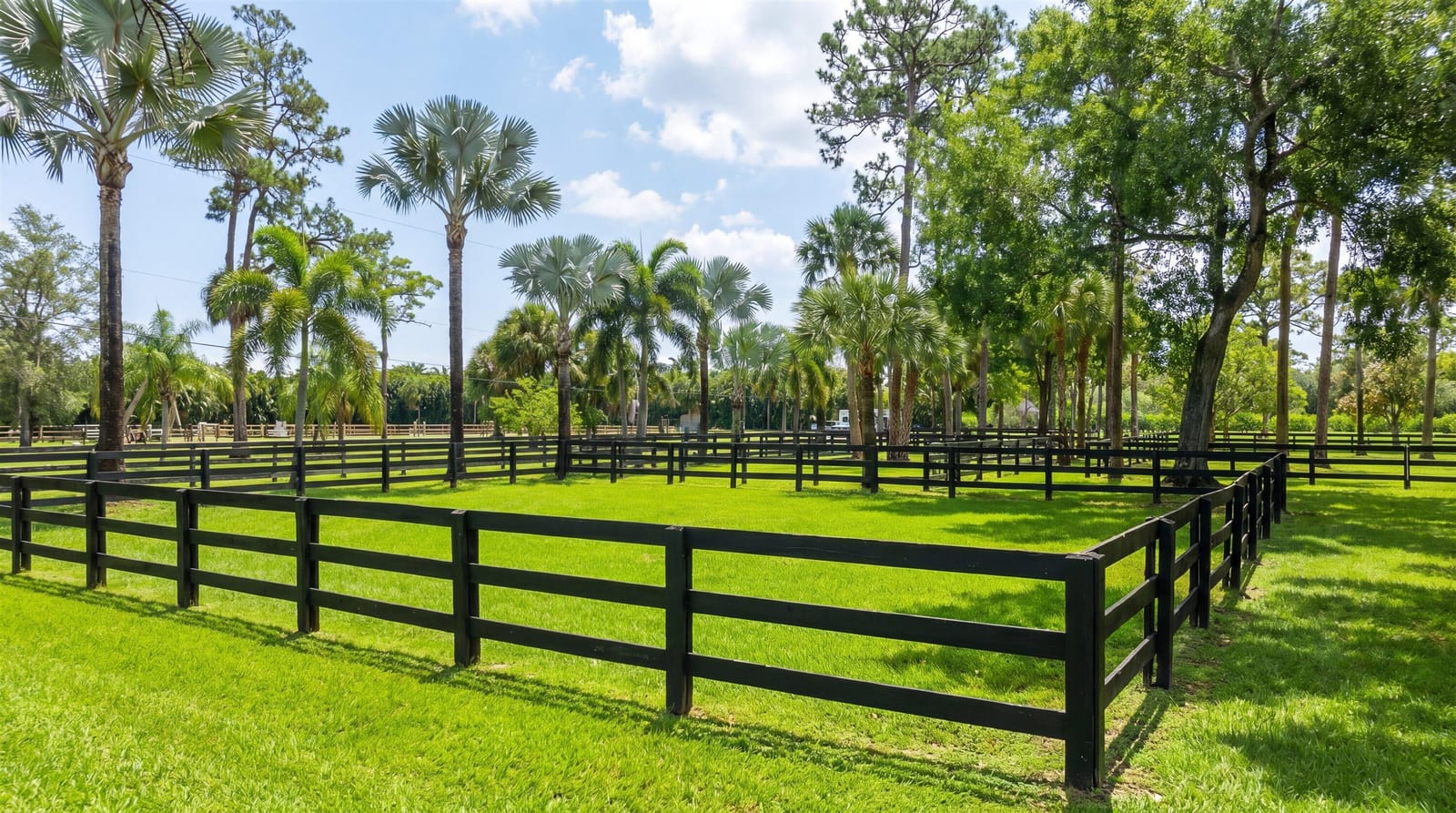 1037 F Road, Loxahatchee Groves, FL 33470 photo 22