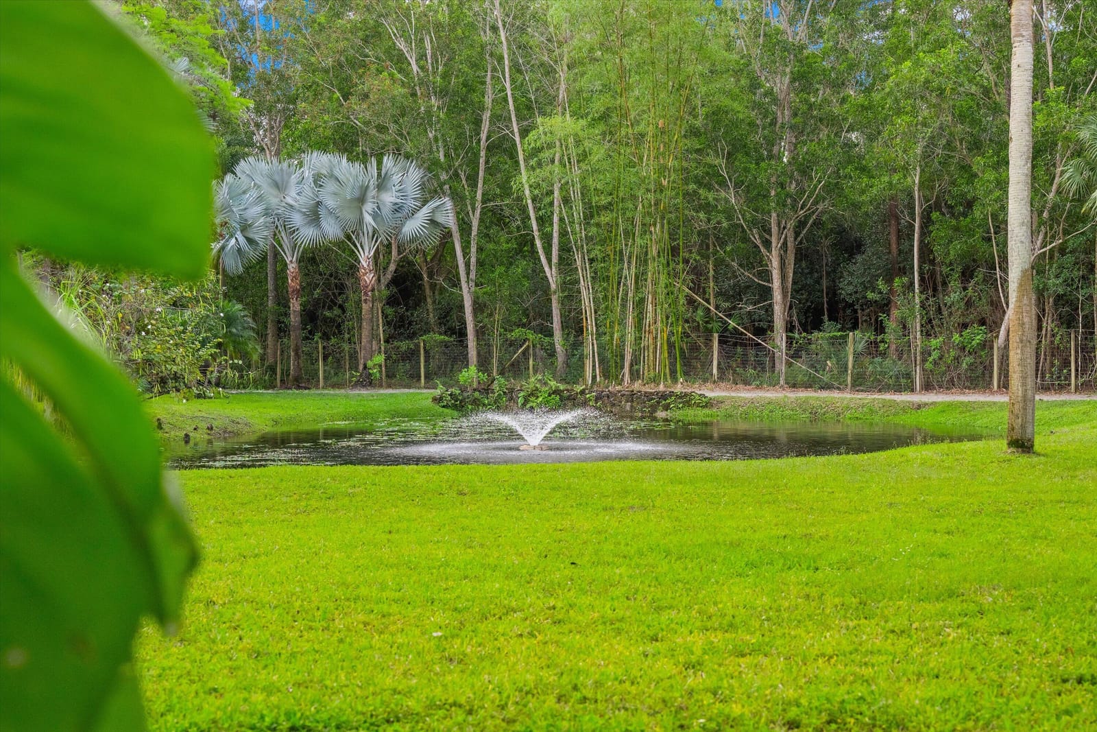 1037 F Road, Loxahatchee Groves, FL 33470 photo 25