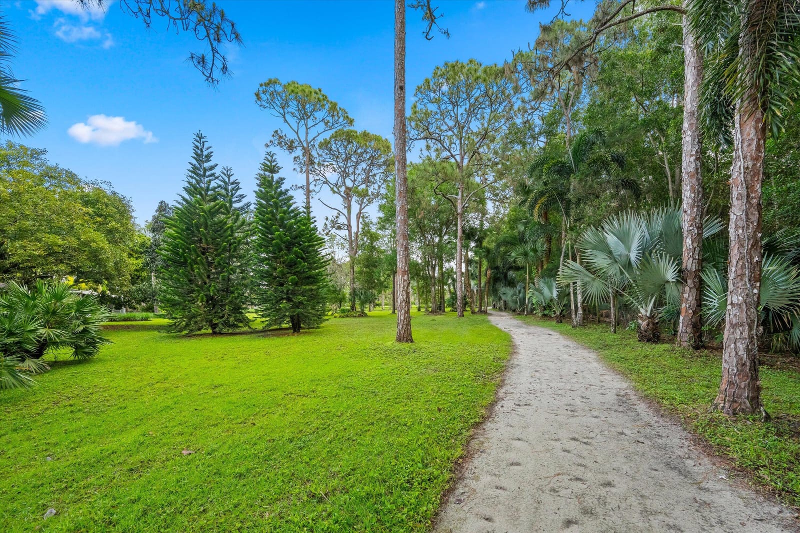 1037 F Road, Loxahatchee Groves, FL 33470 photo 27