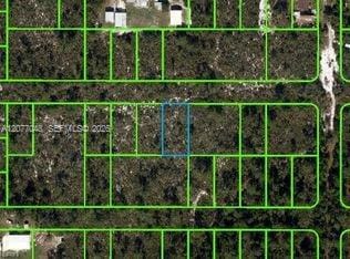 1415 Gladstone Street, Lake Placid, FL 33852