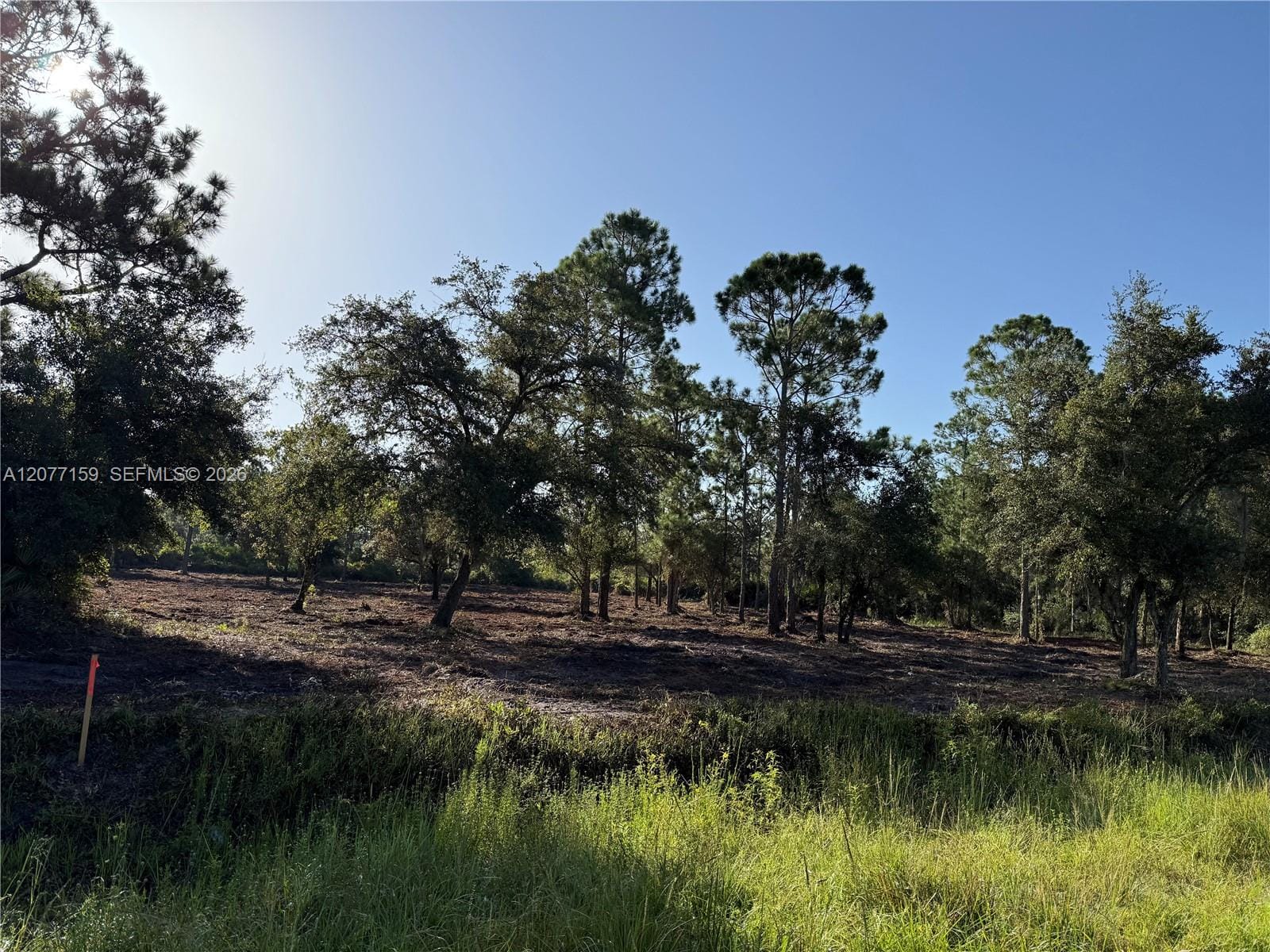 565 S Palomino Street, Clewiston, FL 33440 photo 2