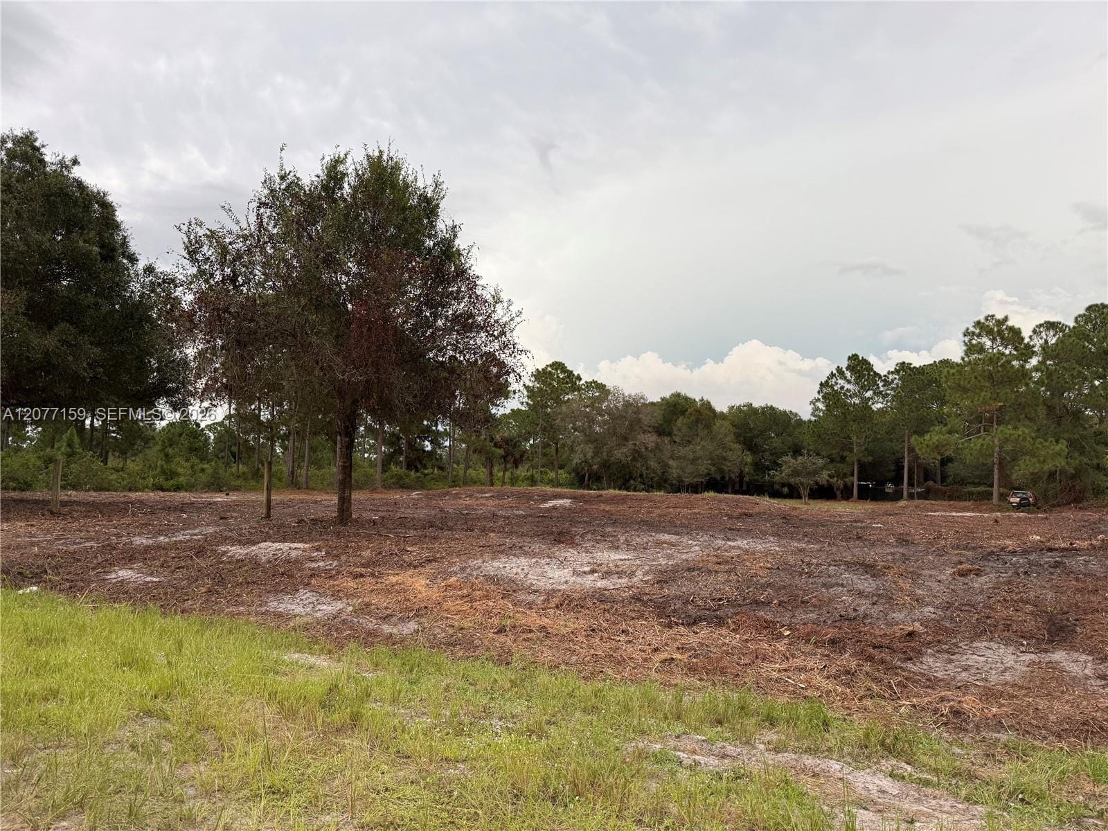 565 S Palomino Street, Clewiston, FL 33440 photo 12