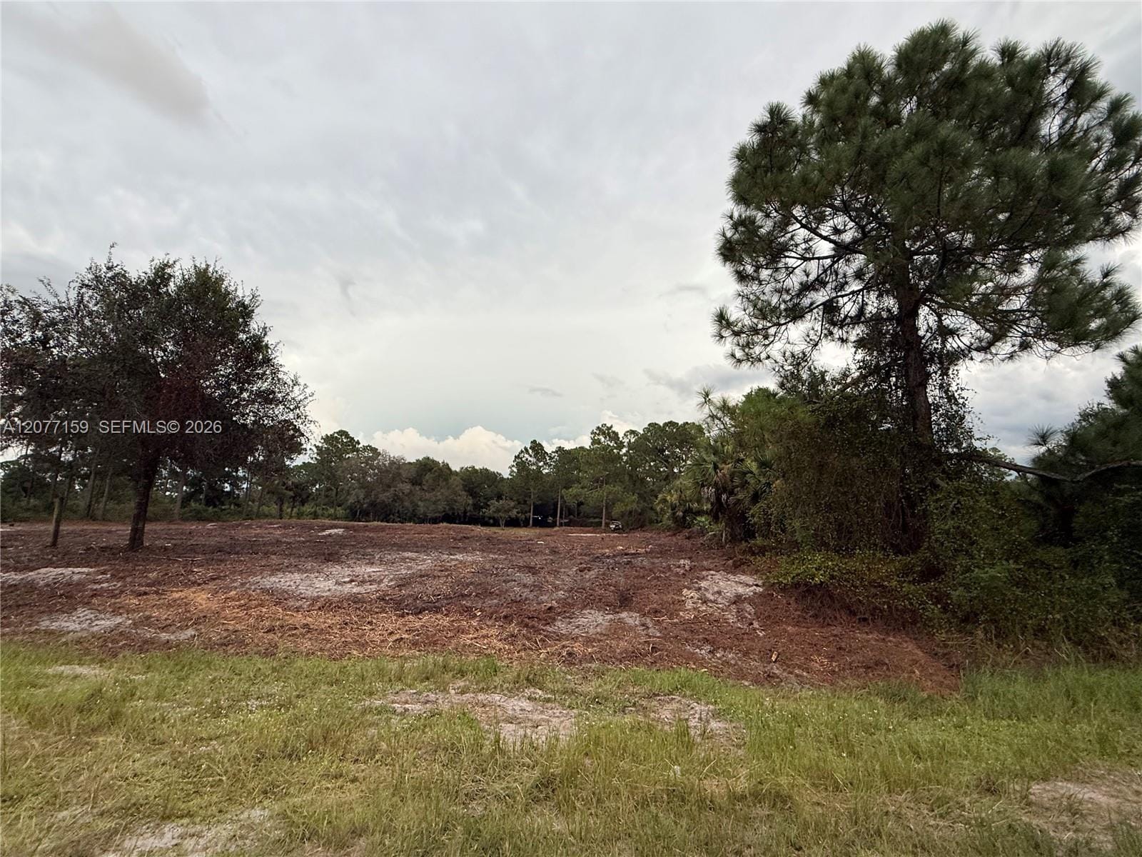 565 S Palomino Street, Clewiston, FL 33440 photo 15