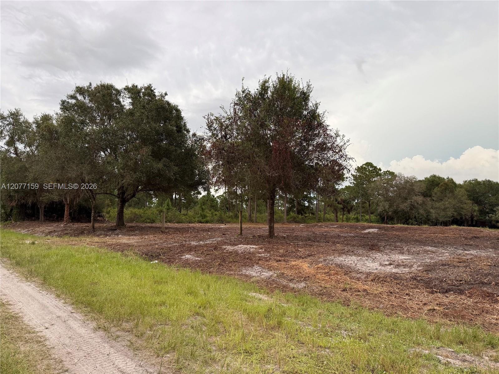 565 S Palomino Street, Clewiston, FL 33440 photo 16