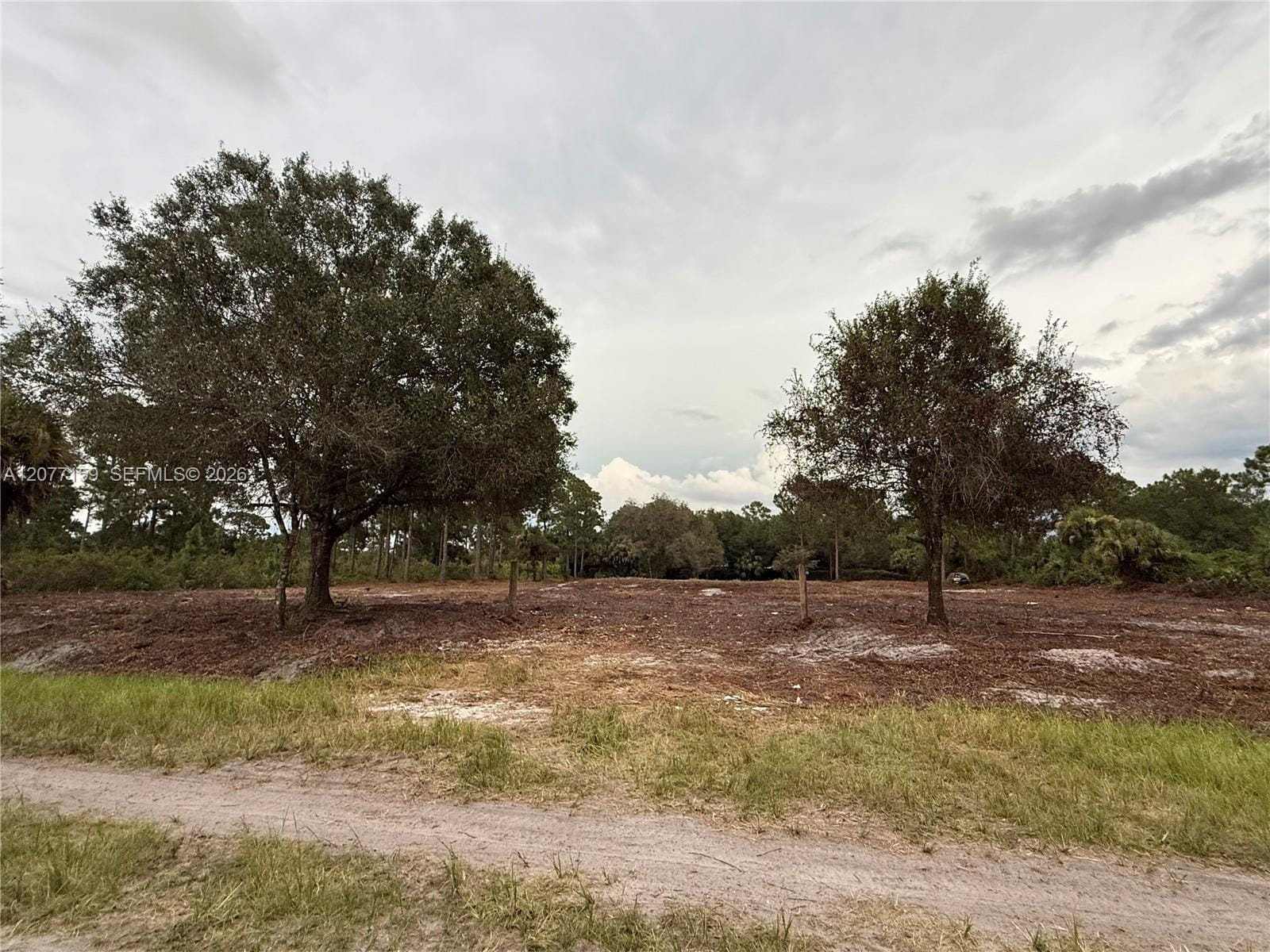 565 S Palomino Street, Clewiston, FL 33440 photo 17