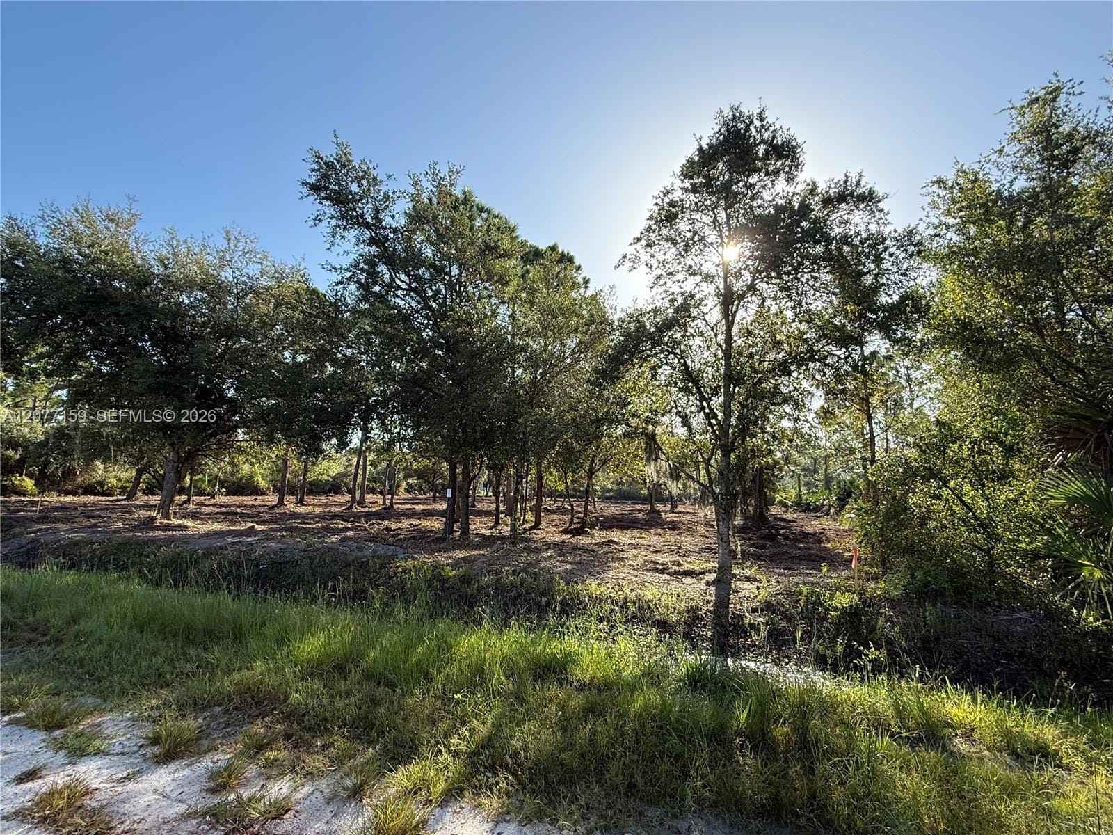 565 S Palomino Street, Clewiston, FL 33440 photo 19