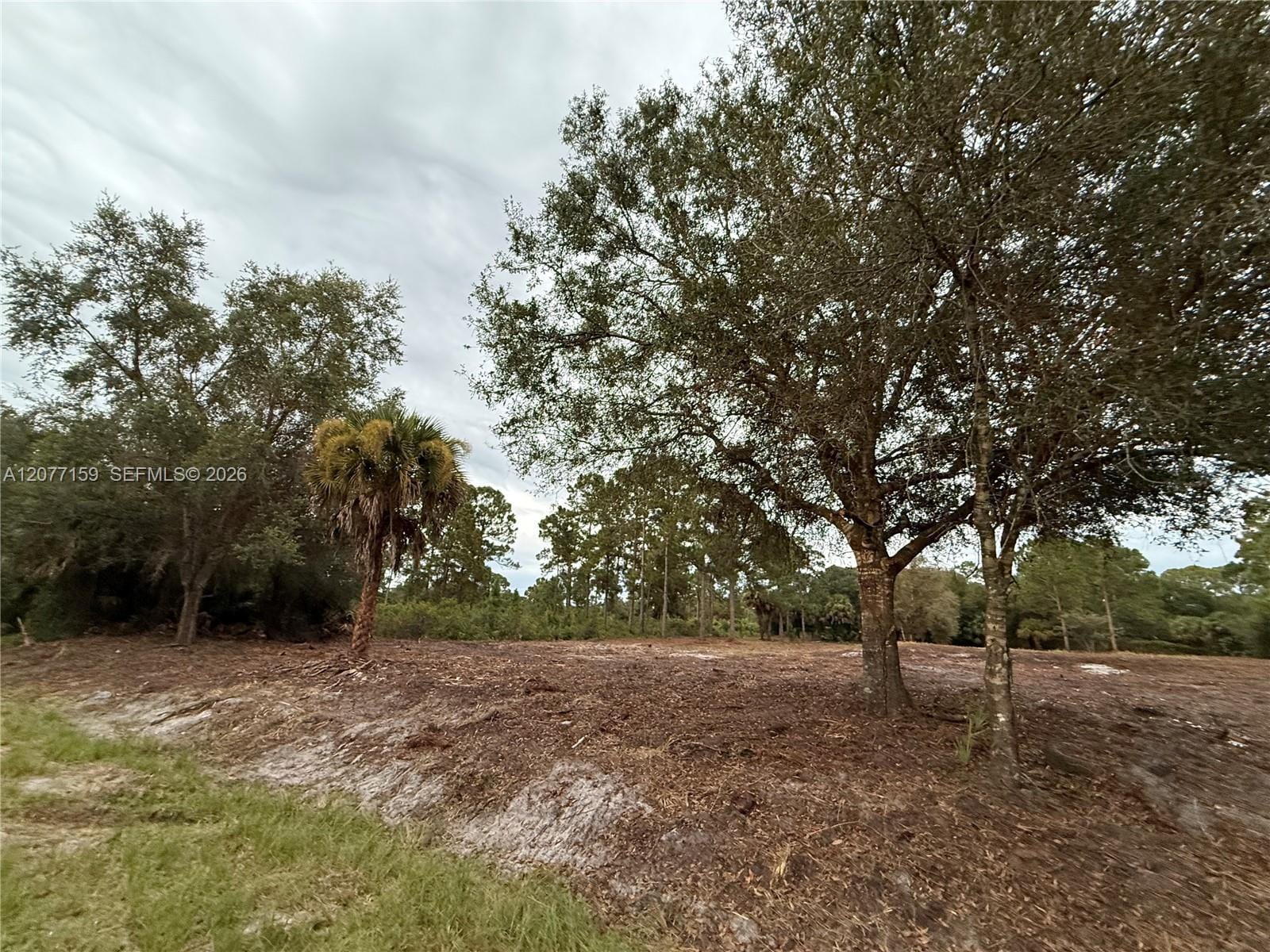 565 S Palomino Street, Clewiston, FL 33440 photo 22