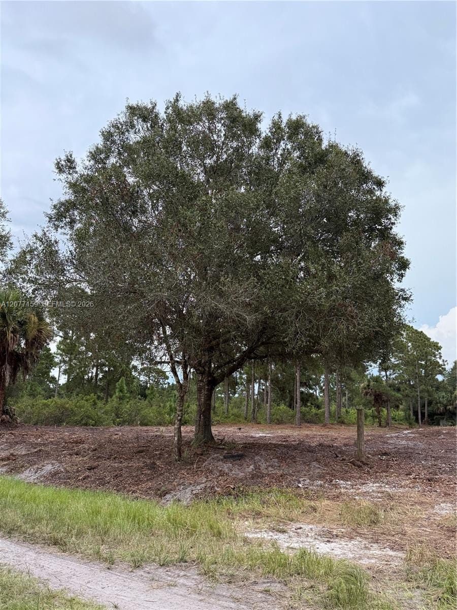 565 S Palomino Street, Clewiston, FL 33440 photo 23